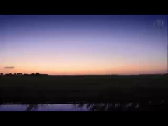 Série 1000-8000 bobina de alumínio pré-pintada