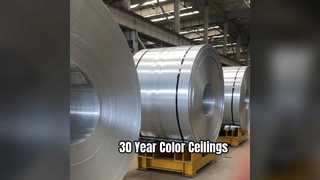 O teto de alumínio durável cobre uma cor de 30 anos