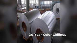 O teto de alumínio durável cobre uma cor de 30 anos